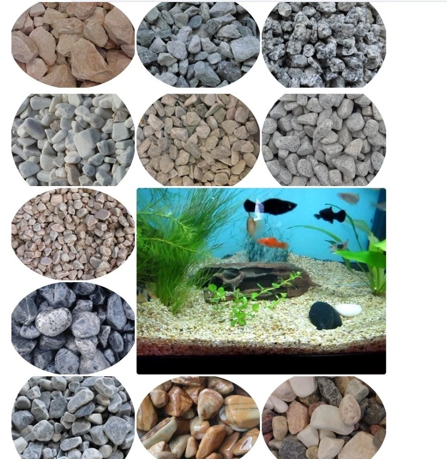 Decorative Natural Gray Color Landscaping Tumbled Pebble Stones