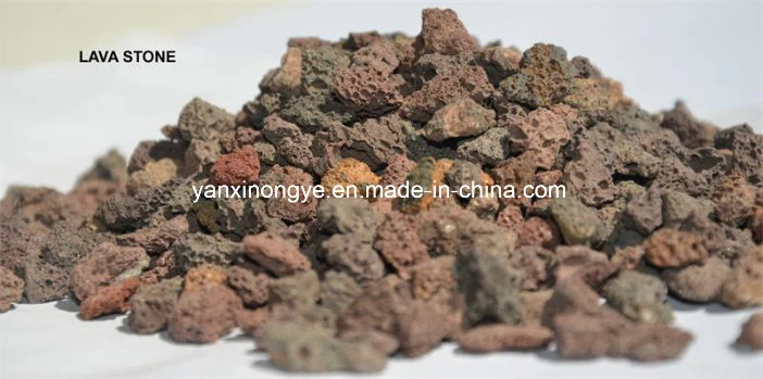 Professional Factory Manufacturing Lava Stone for Building Material Natural Stone Flooring Tile Paving Granite